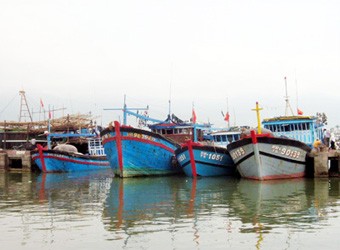 Kiên Giang Hàng trăm tàu cá nằm bờ vì giá cá sụt giảm